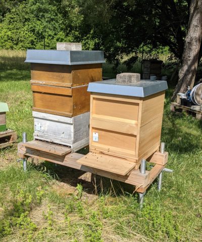 Bienen Beuten im Sommer